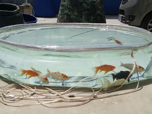 水晶鱼池.jpg