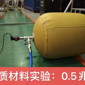 堵漏气囊